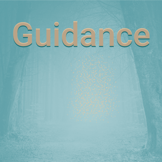 Islam-Guidance